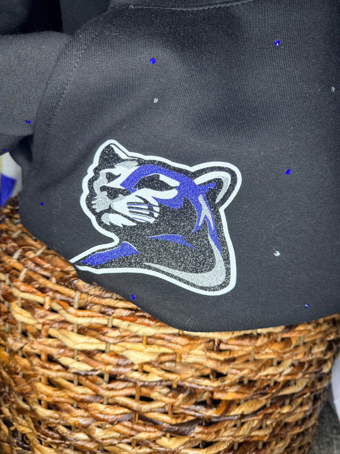 Rhinestone Mascot Hoodie